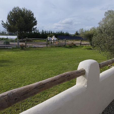 Le Gite De Pandore Arles Exteriör bild