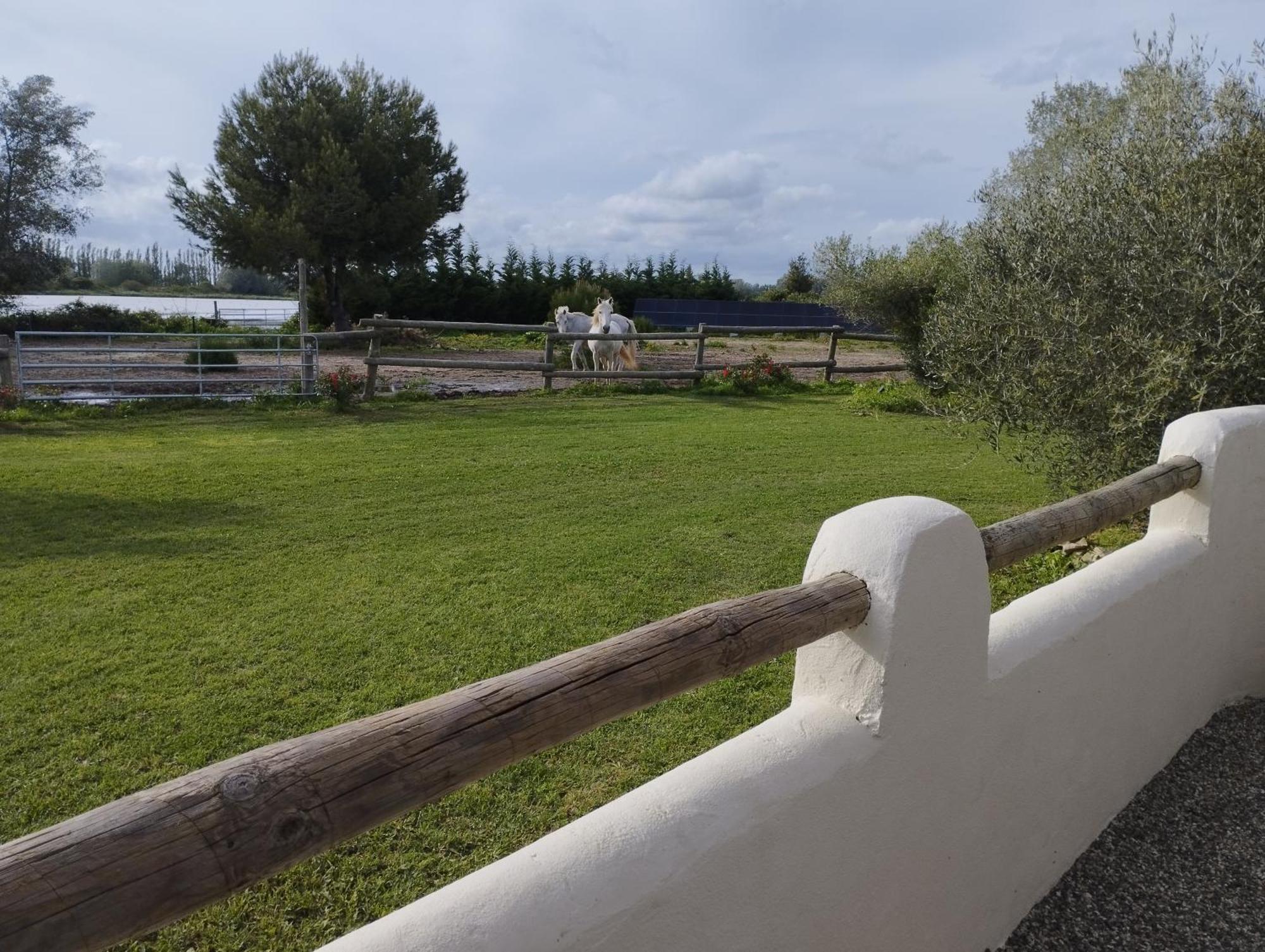 Le Gite De Pandore Arles Exteriör bild